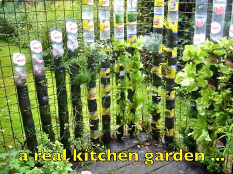 Kitchen-Garden