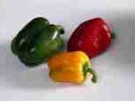 gardening bell-peppers-Green, yellow, red peppers, 1