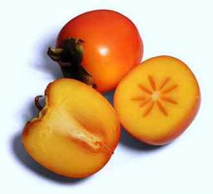Persimmon Fruit Trees