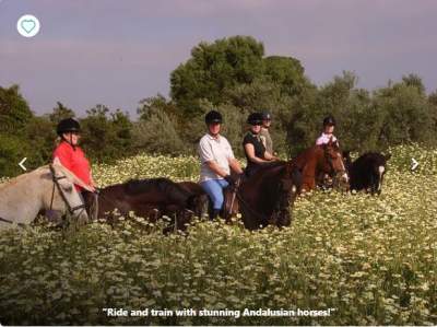 Sevilla Horse riding