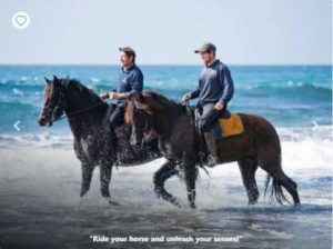 menorca horde riding