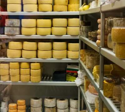 Spanish selection of Wheels of Cheese