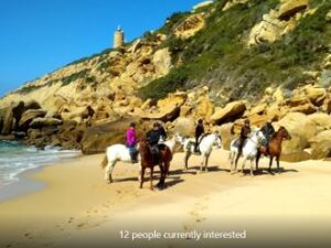 Horseback Back Riding