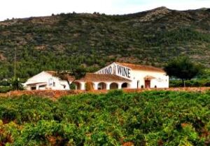 Pepe-Mendoza-vineyard Alicante