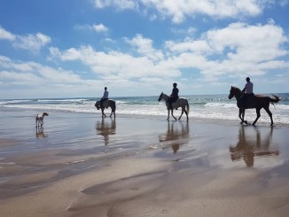 Agidar-Beach-Horse-Riding
