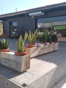 Good Asia being rennervated