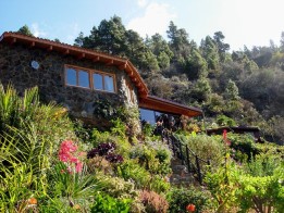detox yoga retreat Canary Islands
