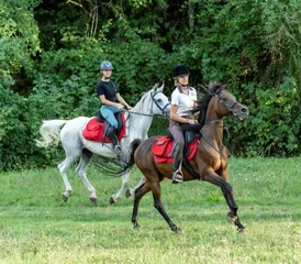 horse riding italy