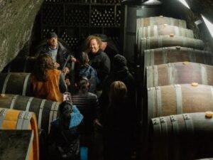 Castilla y León wine