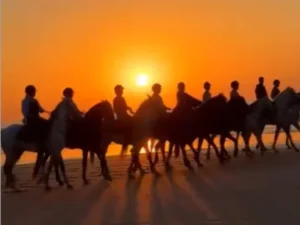 4 Day Horseback Journey by the Atlantic