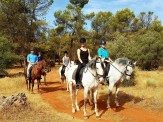 Malaga Horse
